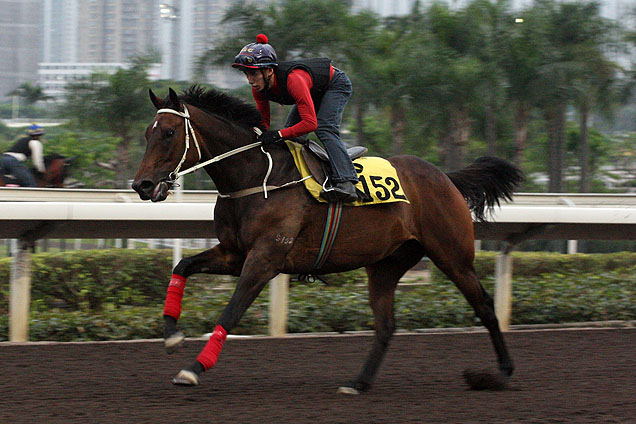 Helene Super Star at Trackwork on 20.04.2015 in Preparation for Audemars Piguet QEII Cup.