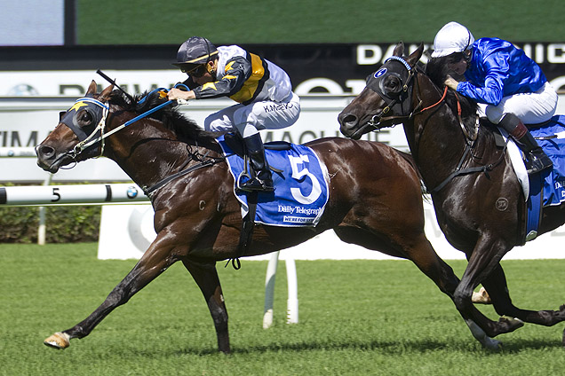 Hi World winning the Telegraph Carbine Club Stakes