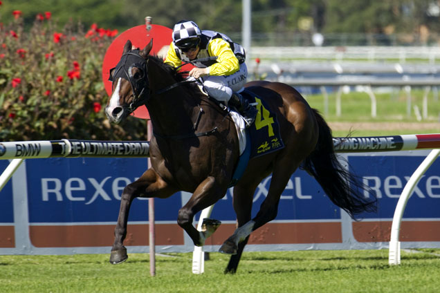 High Midnight will run well at Doomben