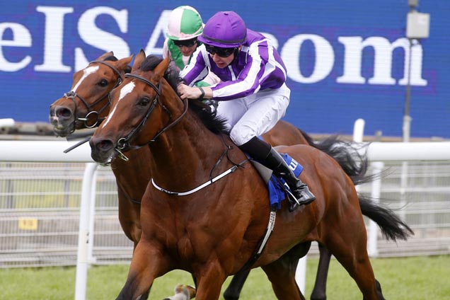 Highland Reel on track for a Cox Plate start