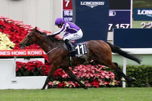 Highland Reel won the Hong Kong Vase in 2015