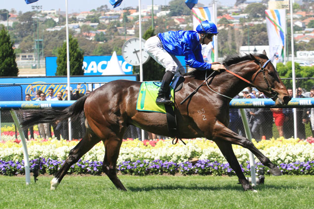 Holler winning the Telstra Phonewords Stakes