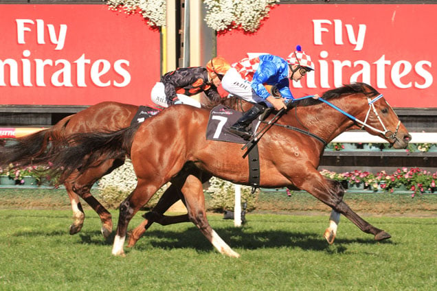 Il Cavallo winning the Vrc Recognition (Bm90)