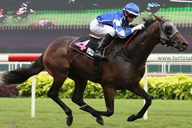 Imperial March winning the AUCKLAND RACING CLUB TROPHY OPEN BENCHMARK 83