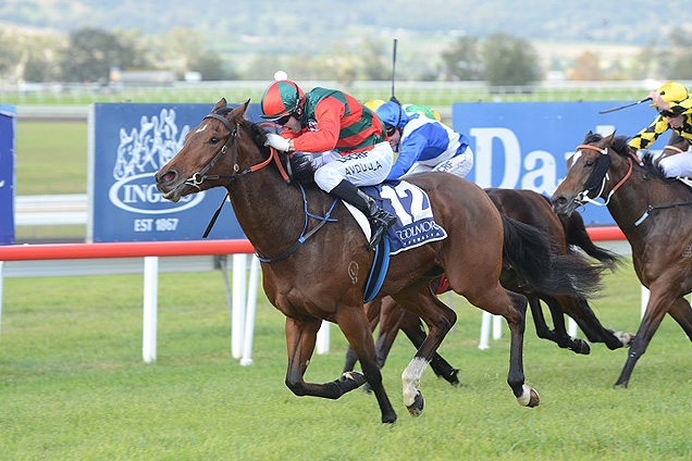 In A Wink winning the Coolmore Denise's Joy Stakes