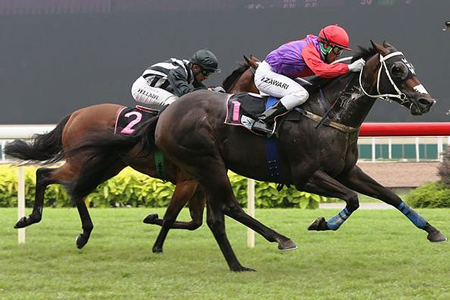 Indian Jade winning the DUBAI RACING CLUB TROPHY OPEN BENCHMARK 83