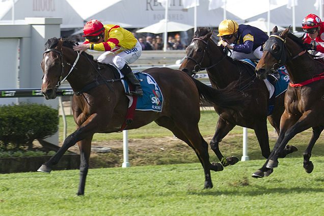 Jabali winning the Sky Racing Queensland Guineas