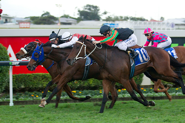 Jetset Lad winning the Evergreen Turf Brisbane Cup