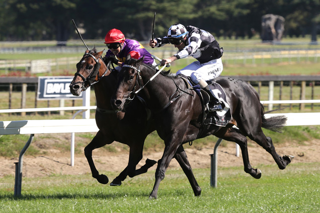 Julinsky Prince (inner) winning the Windsor Pk Japan Nz Intl Hcp