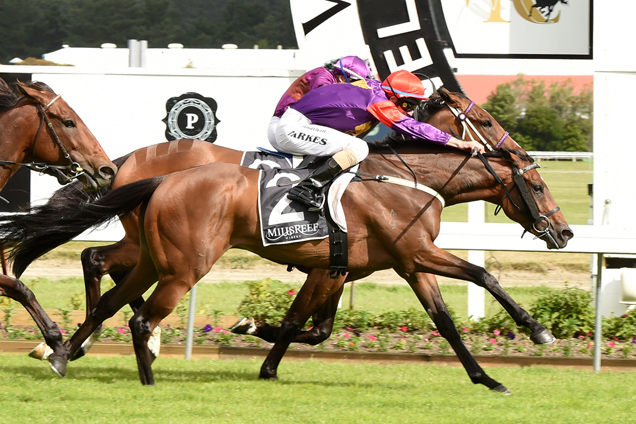 Julinsky Prince winning the Rydges Captain Cook Stakes