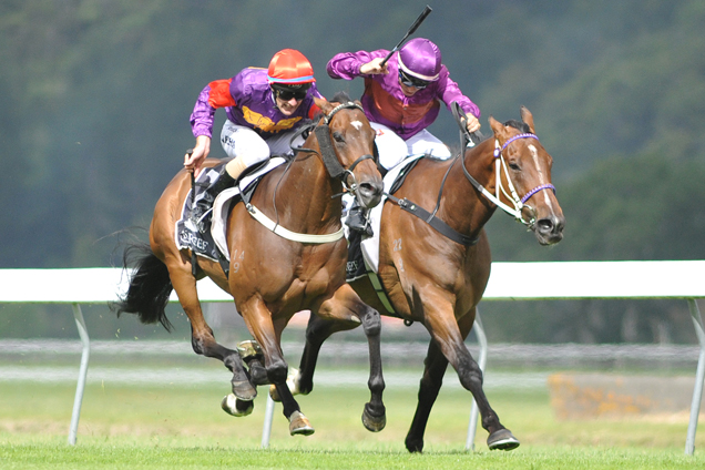 Julinsky Prince (left) wins the Captain Cook Stakes