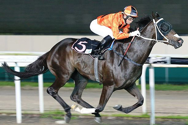 Kam's Comet winning the Amcham Cup at Kranji on Friday night.