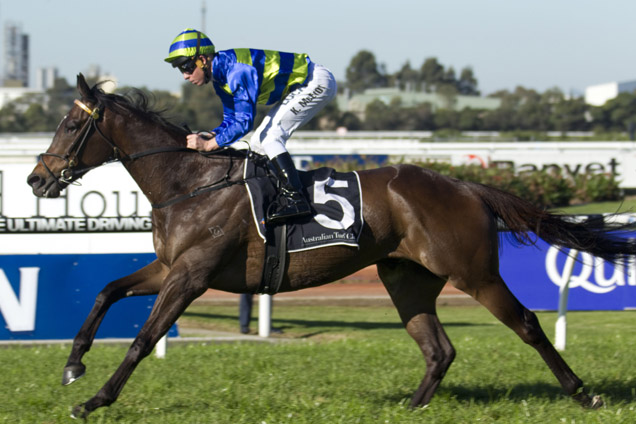 Kapour winning the McDonald House Winter Cup