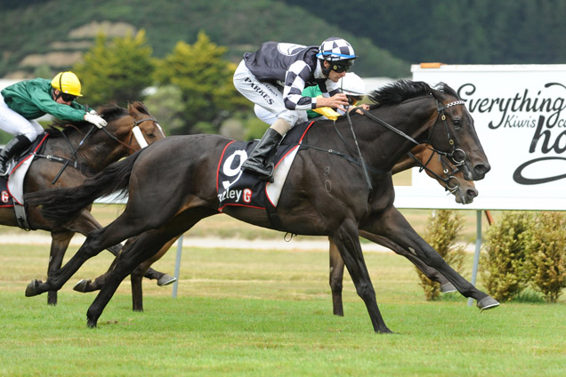 Kawi winning the Tui Anniversay Hcp.