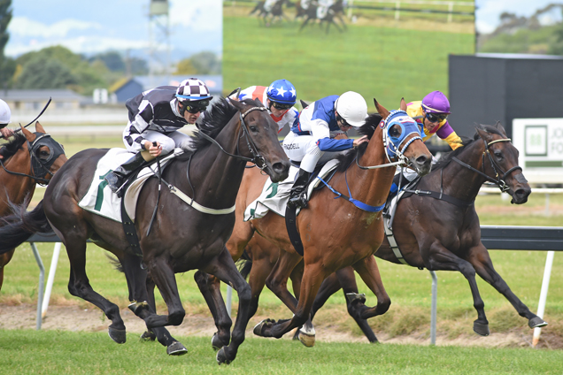 Kawi (Black) winning the Kamada Pk Manawatu Chall. Stks