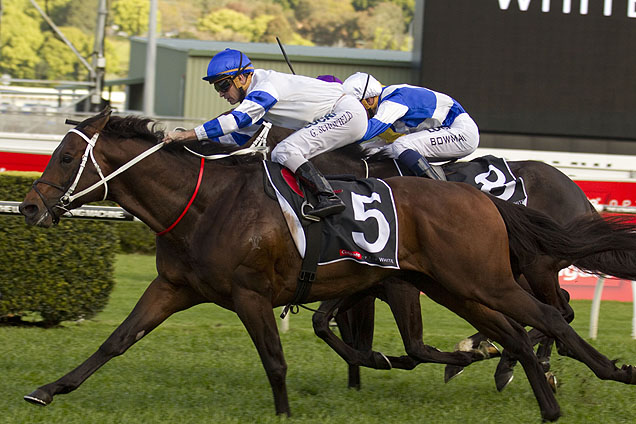 Kermadec has opened early favourite for Saturday's Group 1 Caulfield Stakes.
