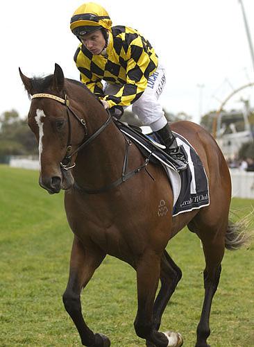 King's Troop resumes at Randwick on Boxing Day.