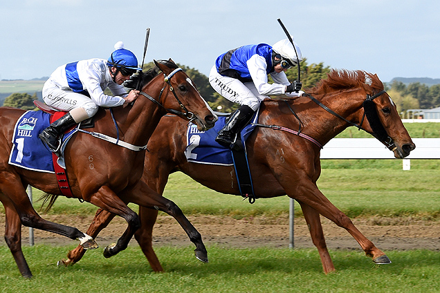 Kisses winning the Rich Hill Stud Breeders Stakes