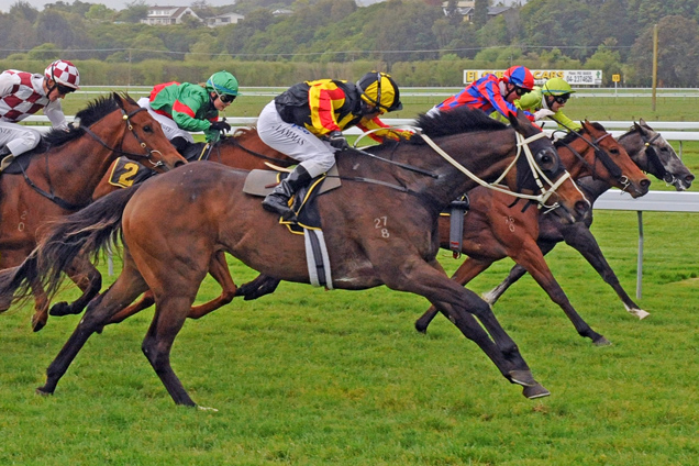 Letsgetiton winning the Melb Cup Raceday @ Otaki-Bm75