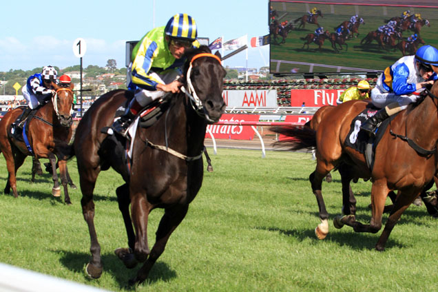 Lucia Valentina winning the Matriarch Stakes