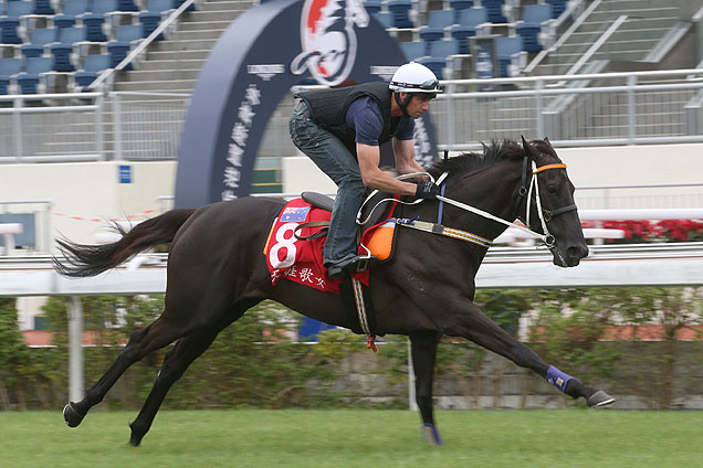 「露西娅瓦伦蒂娜」备战浪琴表香港杯