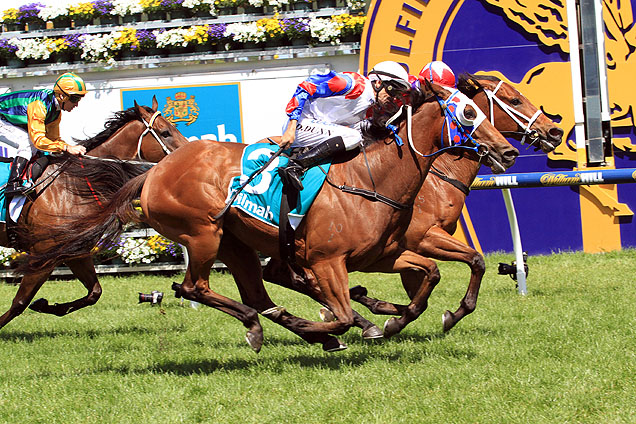 Lumosty and Eclair Choice winning the Caulfield Sprint