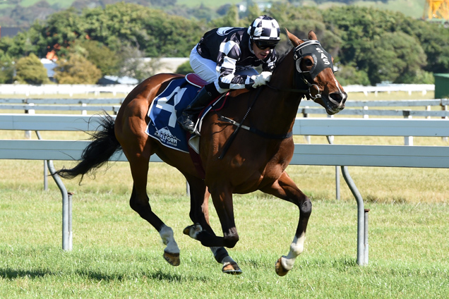 Madonna Mia winning the Civics @cambridge Wanganui Cup