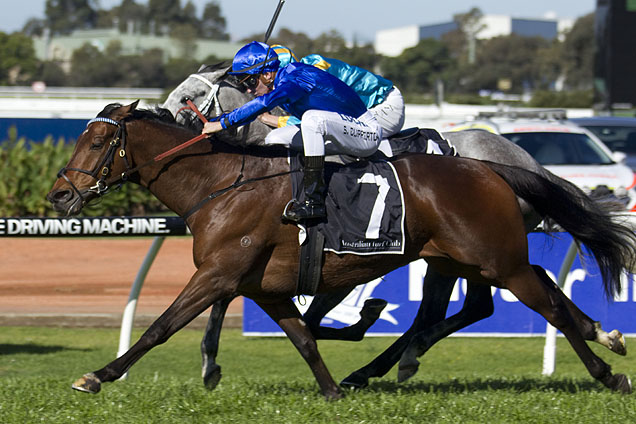 Favourite Magic Hurricane drew barrier one for Saturday's Group 1 McGrath Estate Agents Metropolitan at Randwick.