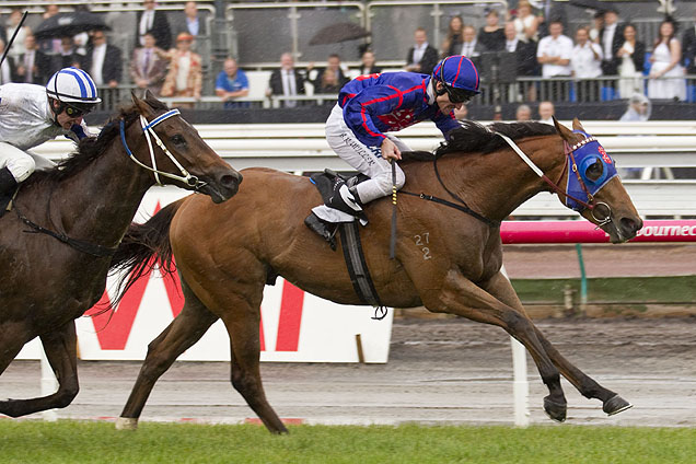 Mahuta winning the Carbine Club Stakes