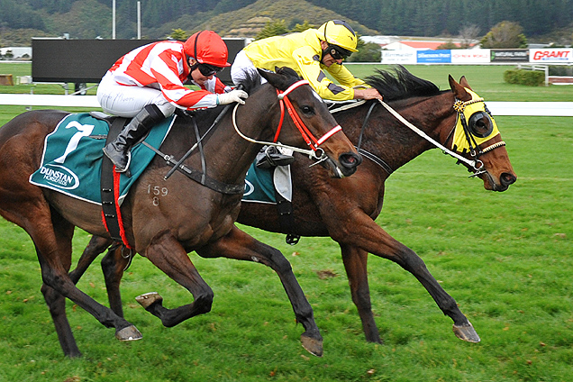 Marotiri Miss(inner) winning the North Island Challenge Stakes