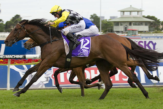 Mighty Lucky winning the Sky Thoroughbred Festival Stks