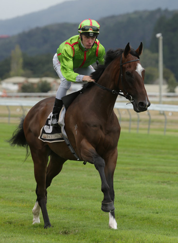 Mighty Maverick running in the Wellington Guineas