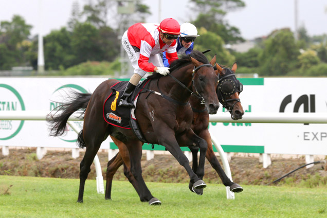 Mongolian Khan winning the Darci Brahma Waikato Guineas.