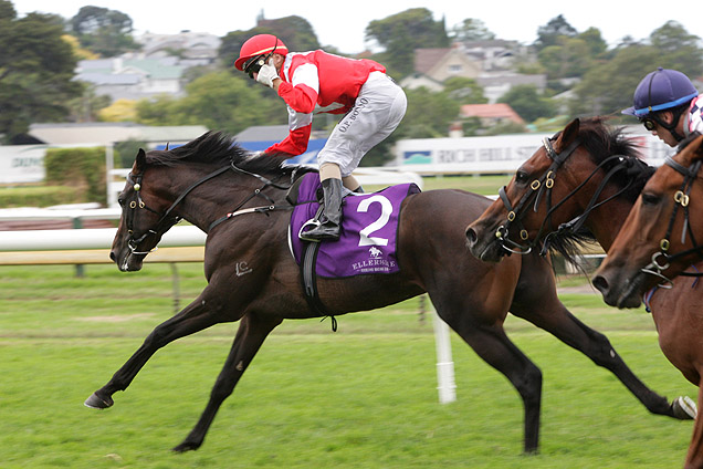 Mongolian Khan winning the Essilor N.Z. Avondale Gneas.