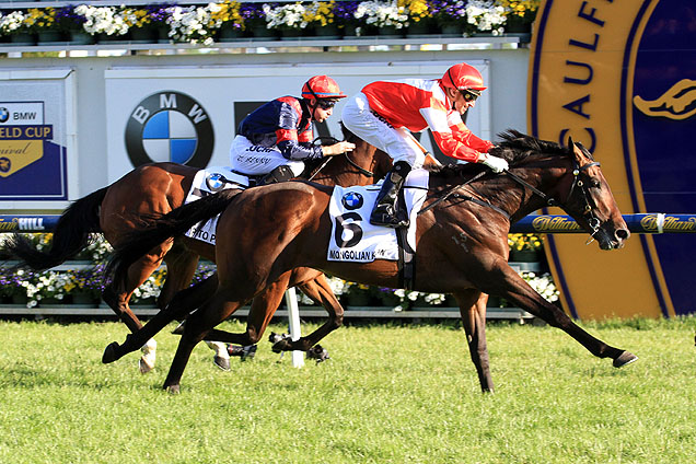 Mongolian Khan is in doubt for next Tuesday's Melbourne Cup after showing signs of colic.