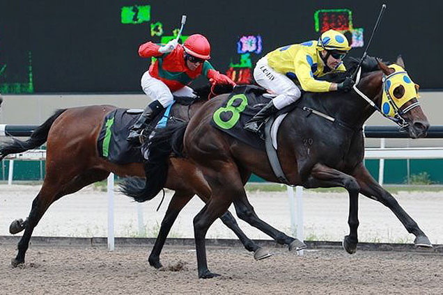 Mr Whitaker winning the RESTRICTED MAIDEN