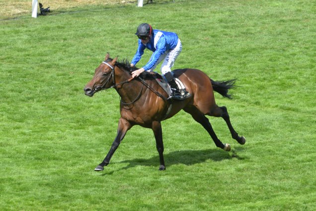 Muhaarar winning the Commonwealth Cup (Group 1)