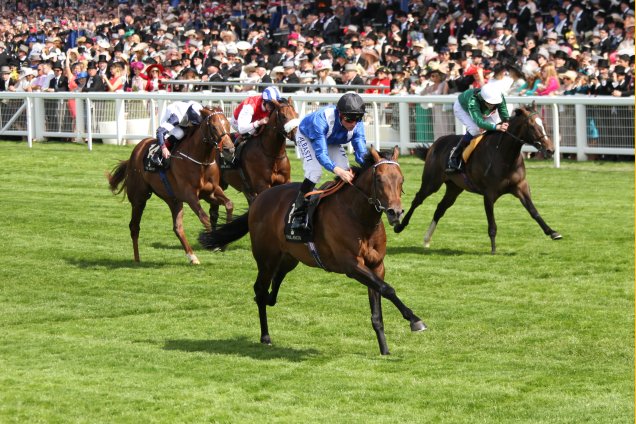 Limato (far side) chases home Muhaarar at Ascot