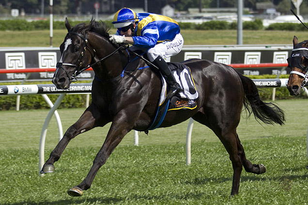 Music Magnate runs in the 2016 Luskin Star Stakes at Scone.