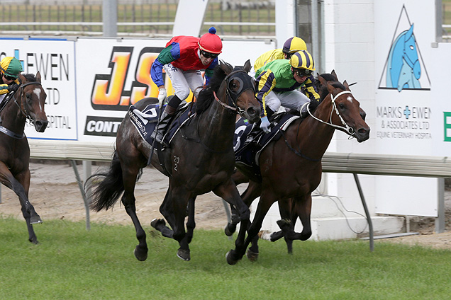 Nahema (one off rail,striped cap)running in the Matamata Breeders Stakes