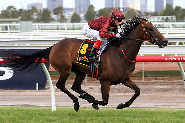 Noble Protector launched her spring campaign with a barrier trial at Cranbourne on Friday.