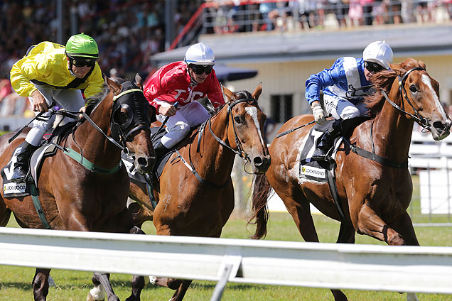 Nothing Trivial (yellow) winning the Lockwood Thames Cup.