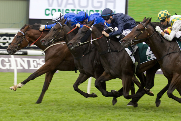 Ottoman winning the Percy Sykes Stakes