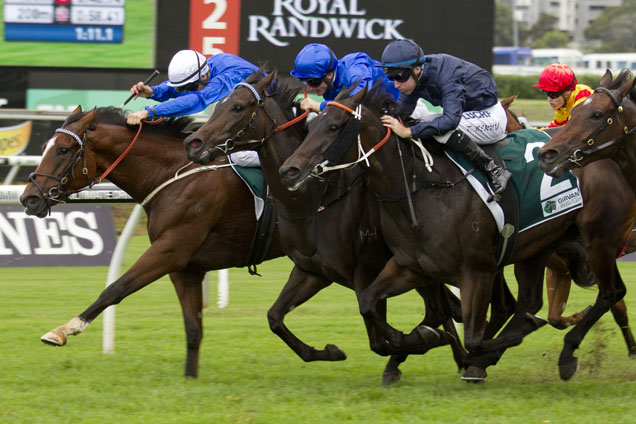 Godolphin filly Ottoman (far left) proved she can still make an impact this spring with a barrier trial win at Rosehill on Friday.