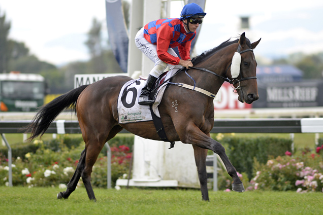 Our Rokkii running in the Manawatu Sires' Produce Stakes