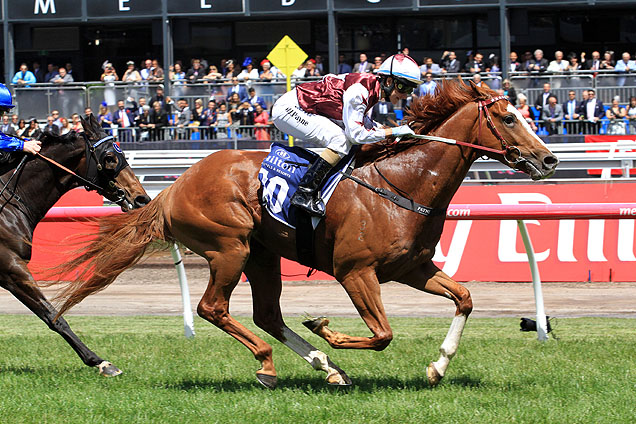 Palentino drew the extreme outside gate in the Australian Guineas.