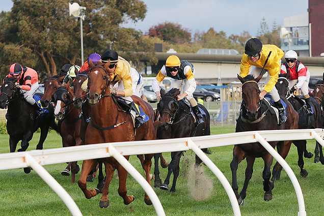 Party Crasher winning the Maneline Cambridge