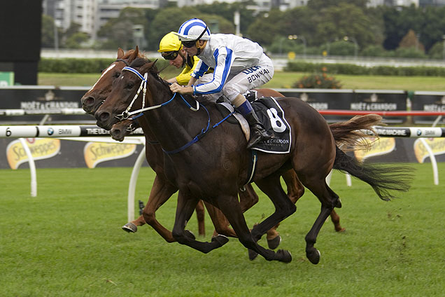 Pasadena Girl winning the Moet & Chandon Champagne Stks