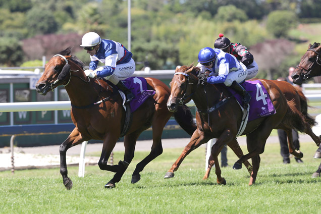 Passing Shot winning the Bmw Mr Tiz Trophy