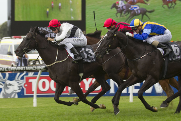 Peeping winning the The Sebring